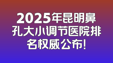 2025年昆明鼻孔大小调节医院排名权威公布！