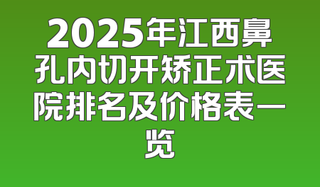 2025年江西鼻孔内切开矫正术医院排名及价格表一览
