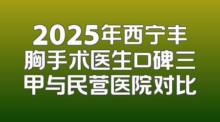 2025年西宁丰胸手术医生口碑三甲与民营医院对比