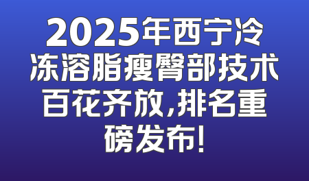 2025年西宁冷冻溶脂瘦臀部技术百花齐放，排名重磅发布！
