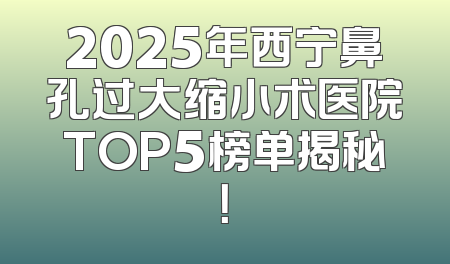 2025年西宁鼻孔过大缩小术医院TOP5榜单揭秘！