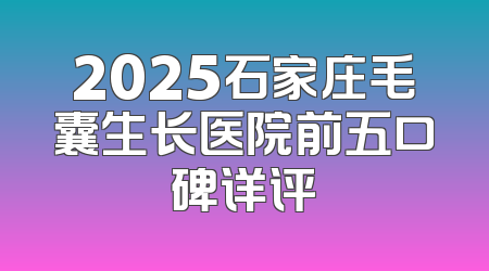 2025石家庄毛囊生长医院前五口碑详评