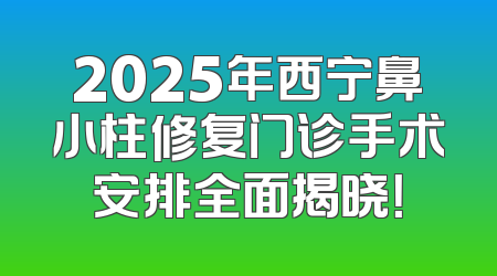 2025年西宁鼻小柱修复门诊手术安排全面揭晓！