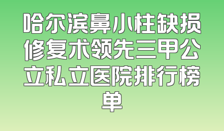 哈尔滨鼻小柱缺损修复术领先三甲公立私立医院排行榜单