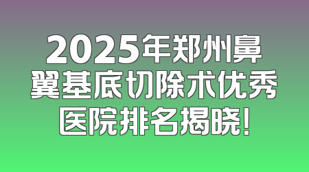 2025年郑州鼻翼基底切除术优秀医院排名揭晓！