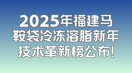 2025年福建马鞍袋冷冻溶脂新年技术革新榜公布！