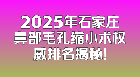 2025年石家庄鼻部毛孔缩小术权威排名揭秘！