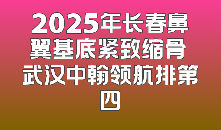 2025年长春鼻翼基底紧致缩骨 武汉中翰领航排第四
