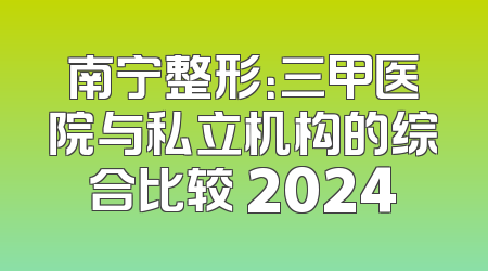 南宁整形：三甲医院与私立机构的综合比较 2024