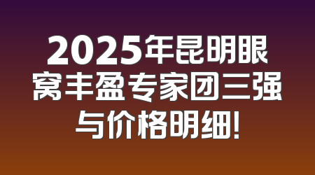 2025年昆明眼窝丰盈专家团三强与价格明细！