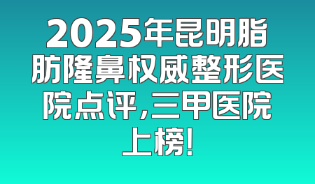 2025年昆明脂肪隆鼻权威整形医院点评，三甲医院上榜！