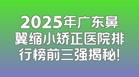 2025年广东鼻翼缩小矫正医院排行榜前三强揭秘！