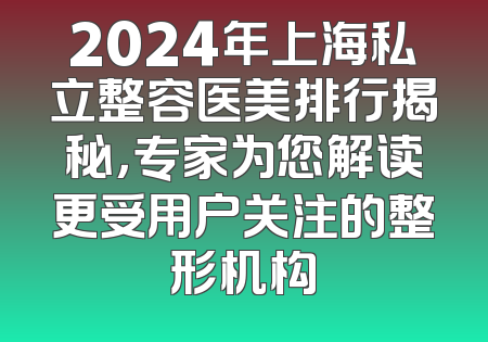 2024年上海私立整容医美排行揭秘，专家为您解读更受用户关注的整形机构