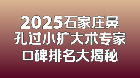2025石家庄鼻孔过小扩大术专家口碑排名大揭秘