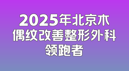 2025年北京木偶纹改善整形外科领跑者