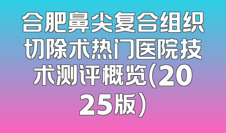 合肥鼻尖复合组织切除术热门医院技术测评概览（2025版）