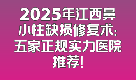 2025年江西鼻小柱缺损修复术：五家正规实力医院推荐！