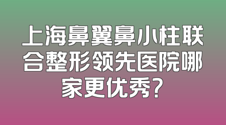 上海鼻翼鼻小柱联合整形领先医院哪家更优秀？