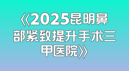 《2025昆明鼻部紧致提升手术三甲医院》