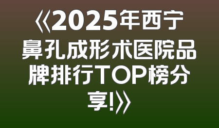 《2025年西宁鼻孔成形术医院品牌排行TOP榜分享!》