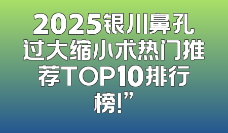 2025银川鼻孔过大缩小术热门推荐TOP10排行榜！”