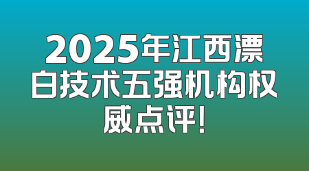 2025年江西漂白技术五强机构权威点评！