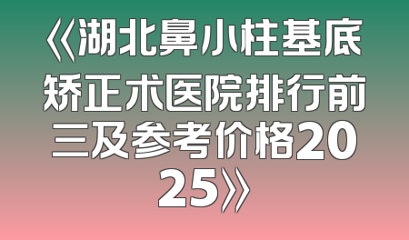 《湖北鼻小柱基底矫正术医院排行前三及参考价格2025》