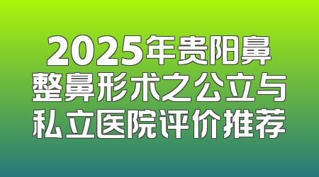 2025年贵阳鼻整鼻形术之公立与私立医院评价推荐