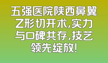 五强医院陕西鼻翼Z形切开术，实力与口碑共存，技艺领先绽放！