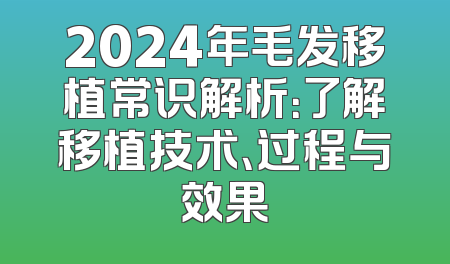 2024年毛发移植常识解析：了解移植技术、过程与效果