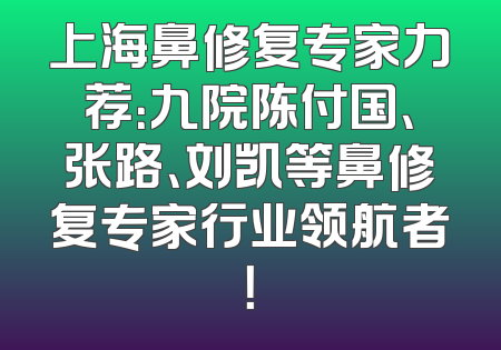 上海鼻修复专家力荐：九院陈付国、张路、刘凯等鼻修复专家行业领航者！