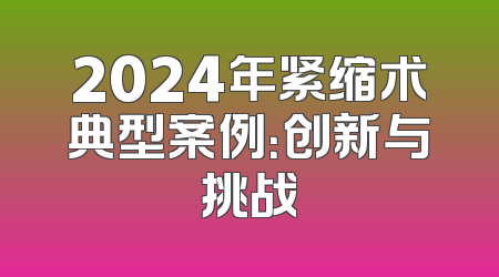 2024年紧缩术典型案例：创新与挑战