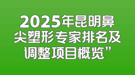 2025年昆明鼻尖塑形专家排名及调整项目概览”