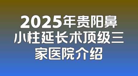 2025年贵阳鼻小柱延长术顶级三家医院介绍