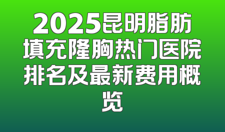 2025昆明脂肪填充隆胸热门医院排名及最新费用概览