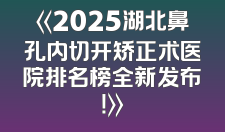 《2025湖北鼻孔内切开矫正术医院排名榜全新发布！》