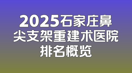 2025石家庄鼻尖支架重建术医院排名概览