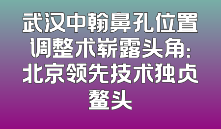 武汉中翰鼻孔位置调整术崭露头角：北京领先技术独占鳌头