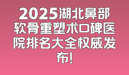 2025湖北鼻部软骨重塑术口碑医院排名大全权威发布！