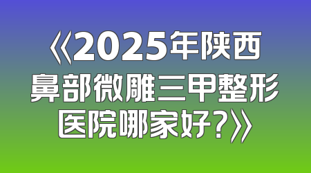《2025年陕西鼻部微雕三甲整形医院哪家好？》