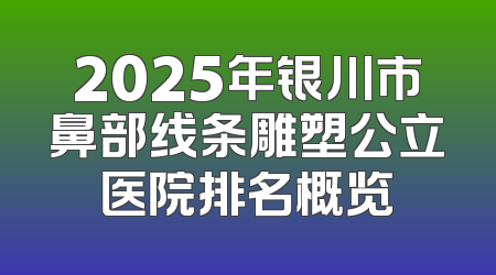 2025年银川市鼻部线条雕塑公立医院排名概览