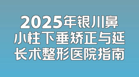 2025年银川鼻小柱下垂矫正与延长术整形医院指南