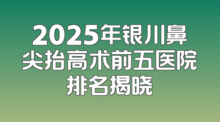 2025年银川鼻尖抬高术前五医院排名揭晓
