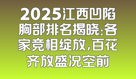 2025江西凹陷胸部排名揭晓：各家竞相绽放，百花齐放盛况空前
