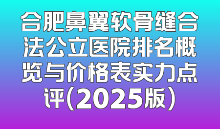 合肥鼻翼软骨缝合法公立医院排名概览与价格表实力点评（2025版）