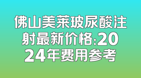 佛山美莱玻尿酸注射最新价格：2024年费用参考