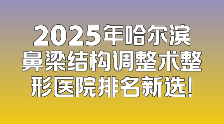 2025年哈尔滨鼻梁结构调整术整形医院排名新选！