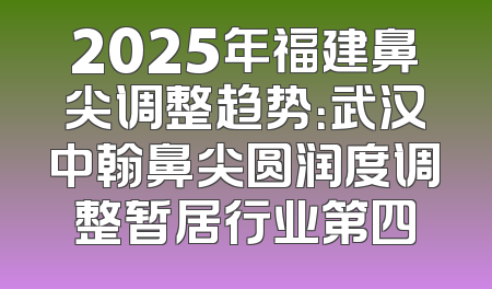2025年福建鼻尖调整趋势：武汉中翰鼻尖圆润度调整暂居行业第四