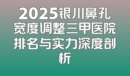 2025银川鼻孔宽度调整三甲医院排名与实力深度剖析