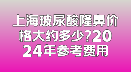 上海玻尿酸隆鼻价格大约多少？2024年参考费用